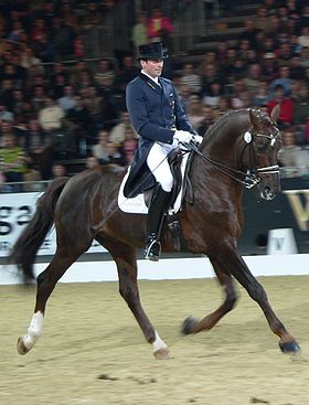 Hanovrien en compétition de (dressage